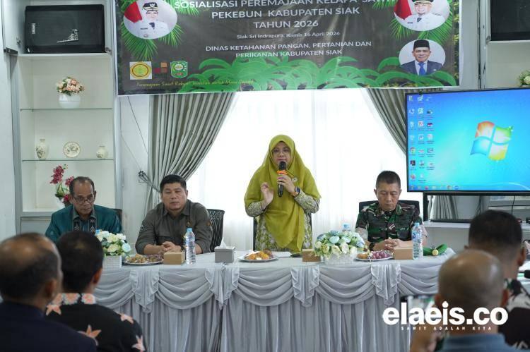Keterbatasan Lahan, PSR Solusi Keberlangsungan Sawit di Siak