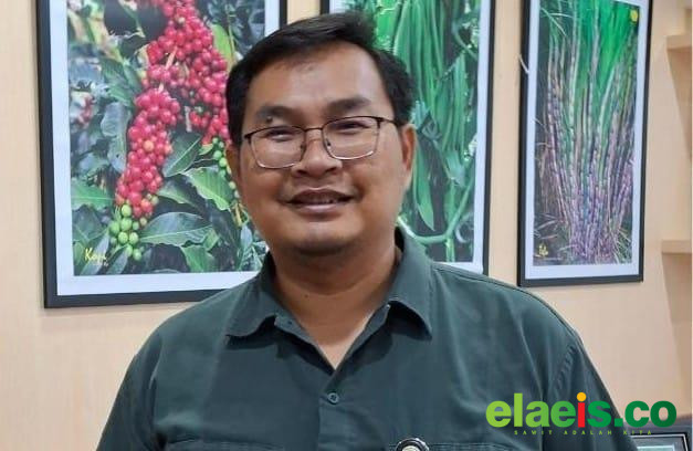 Kementan: Dengan ISPO, Indonesia Bidik Jadi Penentu Arah Sustainability Sawit Dunia