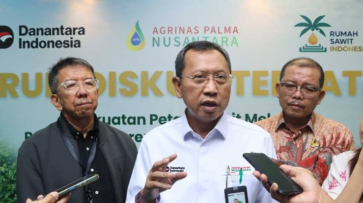 2,8 Juta Hektar Tanaman Tua Ancam Produktivitas Sawit Rakyat, Agrinas Gaspol PSR