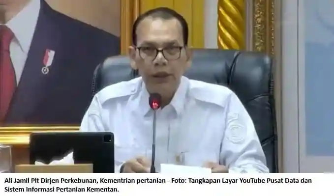 El Nino 2026 Picu Risiko Karhutla, Ditjen Perkebunan Siapkan Jurus Tekan Risiko Kebakaran Lahan