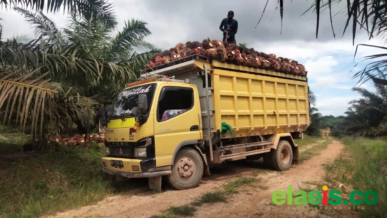 Antrian Angkutan Selalu Panjang, Sulsel Butuh Tambahan PKS