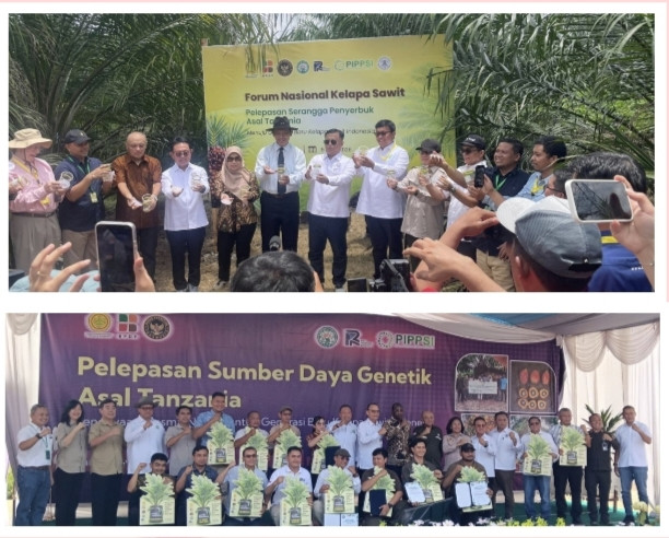 Serangga Penyerbuk dan Sumber Daya Genetik dari Tanzania untuk Masa Depan Sawit Indonesia
