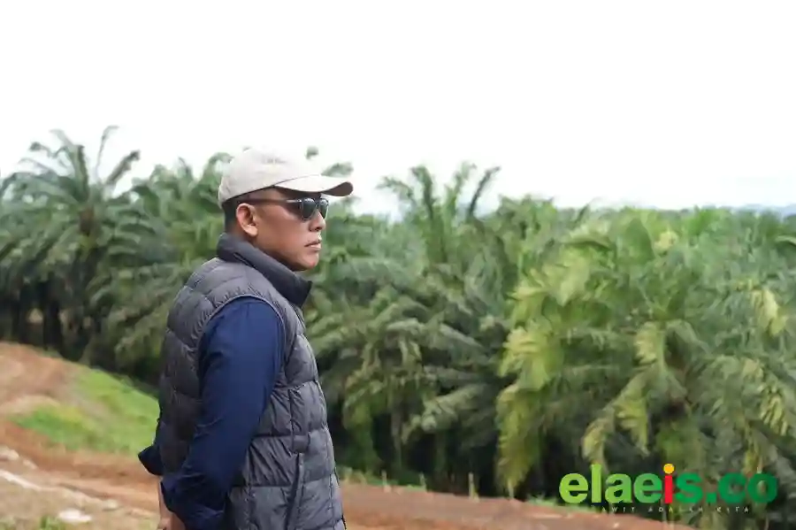 PTPN IV PalmCo Catat 52 Juta Jam Kerja Aman, Perkuat Budaya K3 di Industri Perkebunan