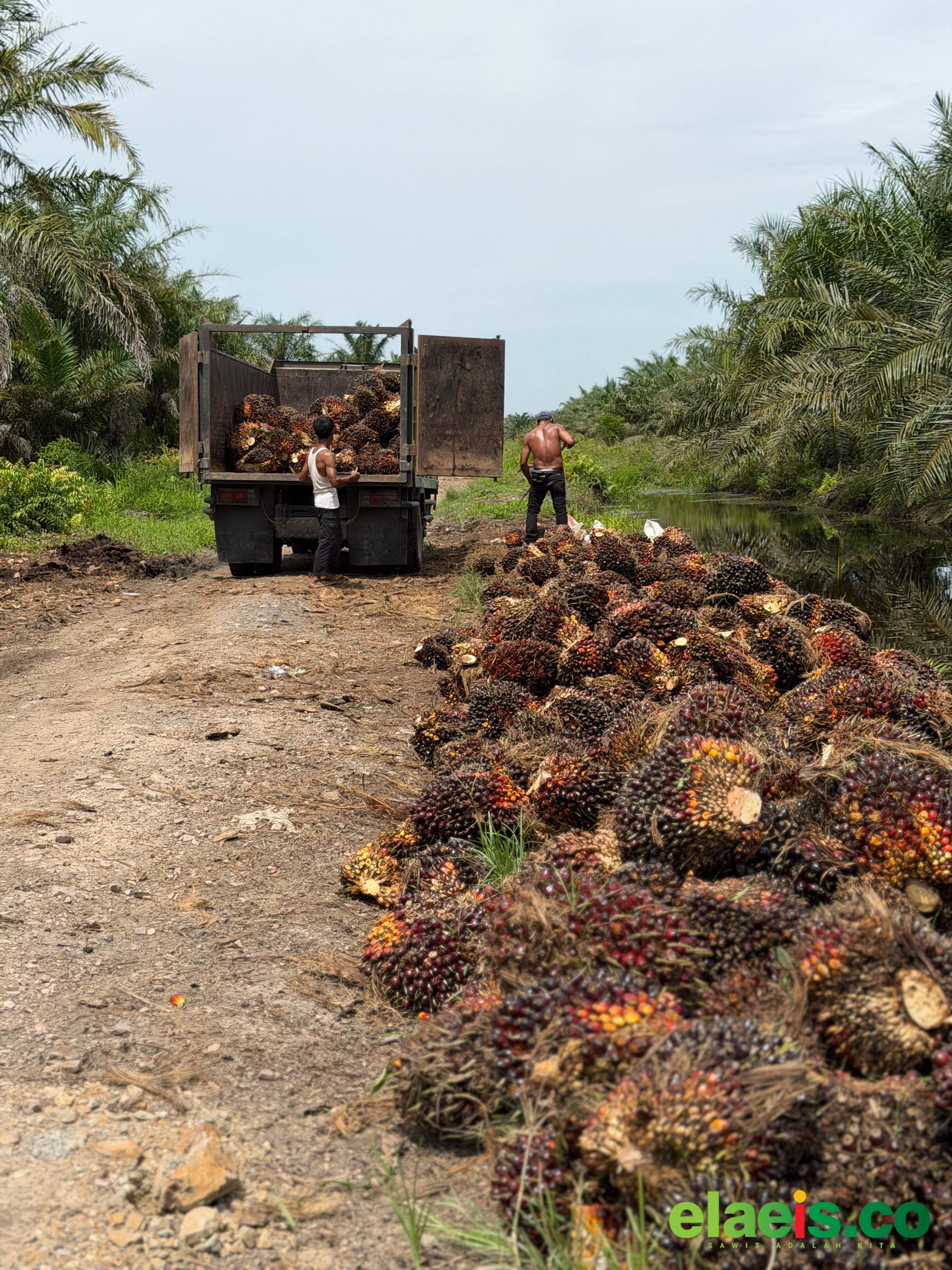 Periksa 43 PKS di Riau, Polda Riau Belum Temukan Penyimpangan Harga