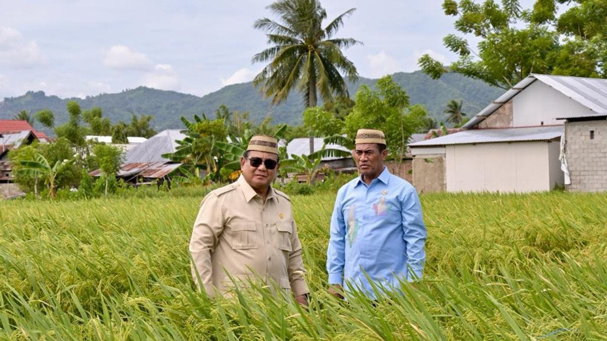 Presiden Prabowo Resmi Umumkan B50 Juli 2026: RI Siap Stop Impor Solar!