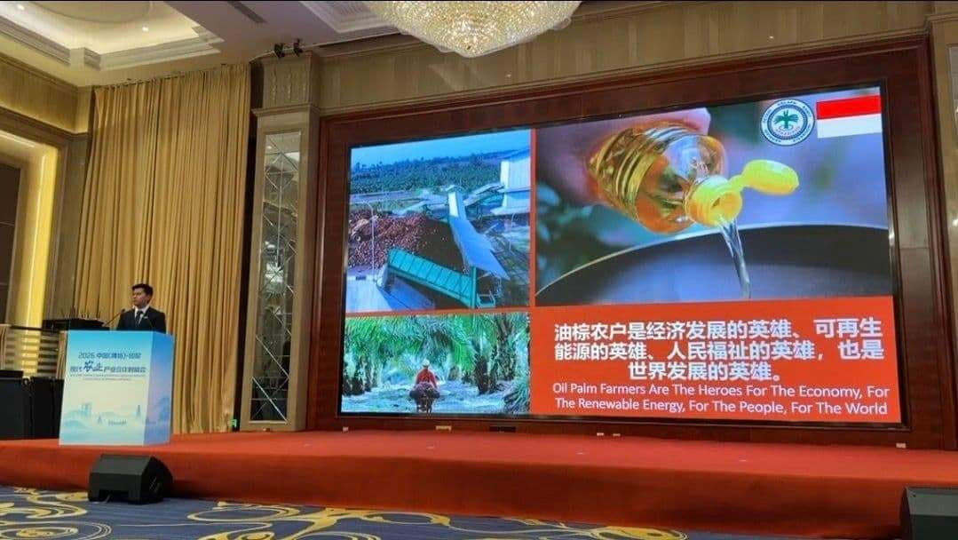 APKASINDO Bawa Misi Besar ke China, Nasib 16 Juta Petani Sawit Diperjuangkan di Forum Internasional