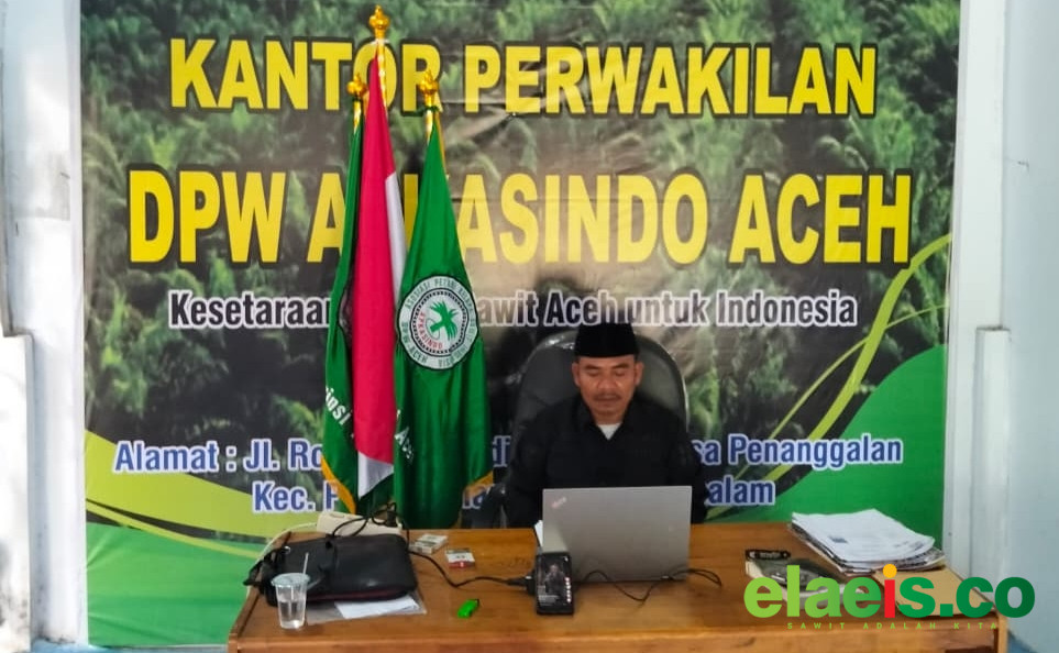 Apkasindo Kecam Pembelian Sawit Dengan Harga Rendah di Nagan Raya