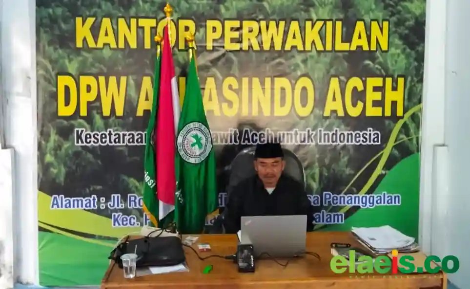 Apkasindo Kecam Pembelian Sawit Dengan Harga Rendah di Nagan Raya