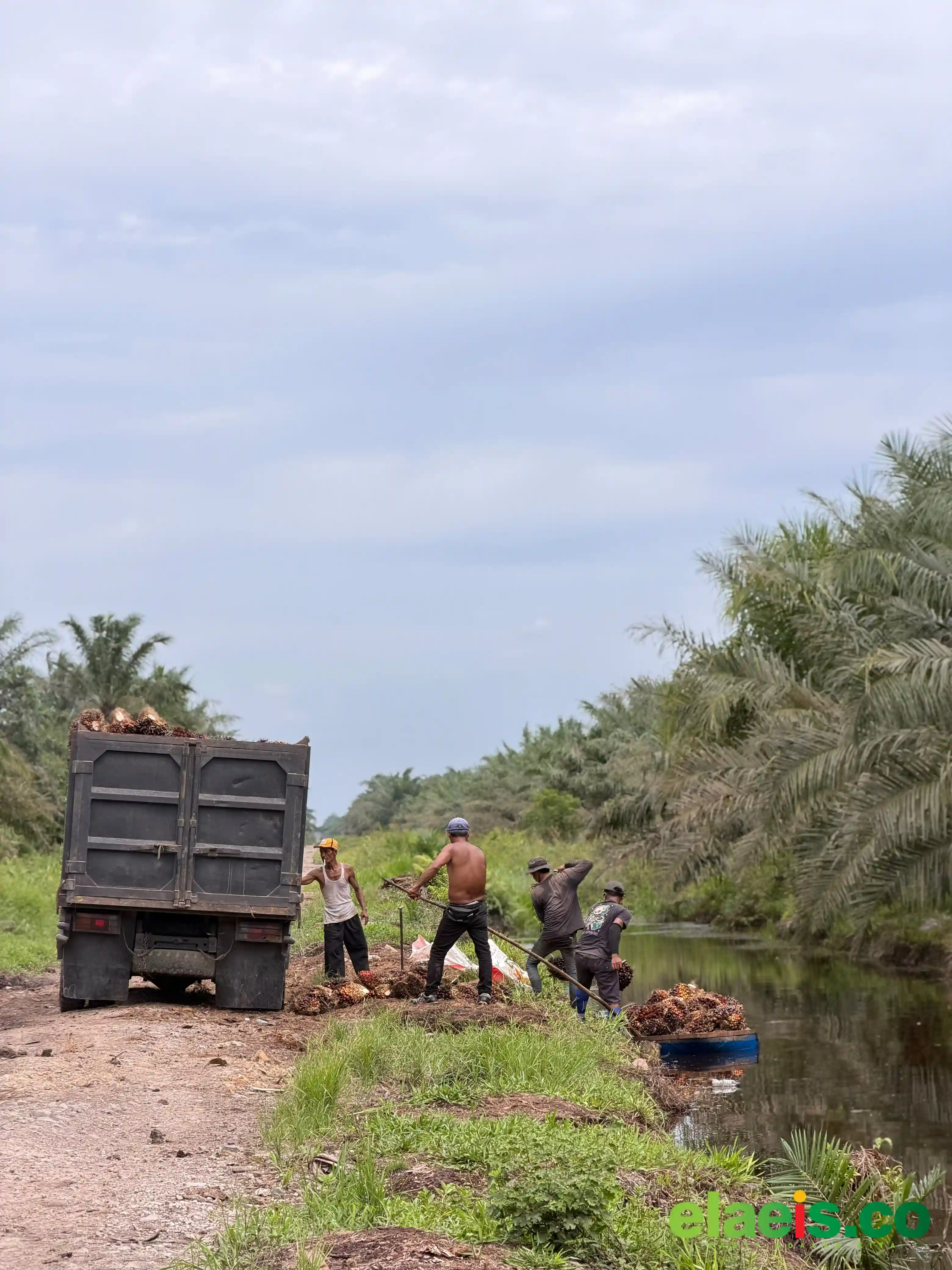 Pemanfaatan CPO untuk Biodiesel Dinilai Langkah Perkuat Ketahanan Energi Nasional