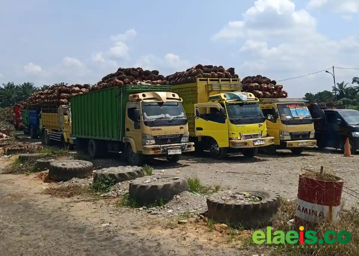 Antrian Panjang, Petani Terpaksa Tunda Panen