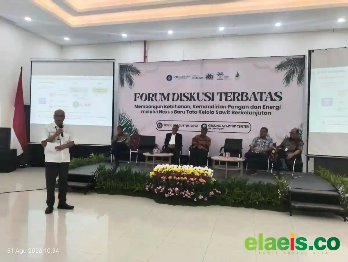 Kacuk Sumarto Ungkap Potensi 1,61 Juta Hektare Lahan Sawit untuk Dukung Pangan
