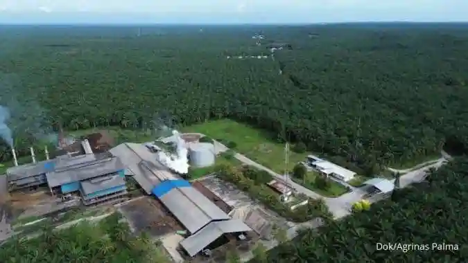 Agrinas Palma Gaspol Garap Sawit di Papua Selatan, Gandeng Masyarakat Adat