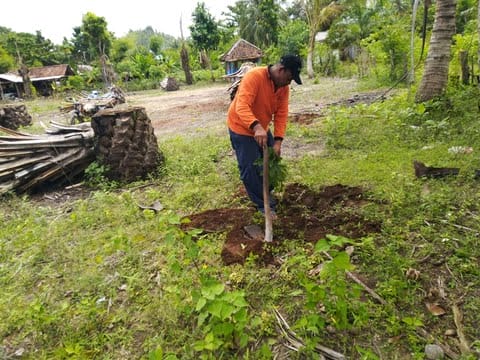 Protes ke Bupati, Warga Malang Cabut Sawit, Tanam Buah