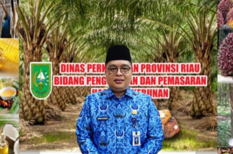 Berikut Harga Karet di Riau dari Hasil Lelang