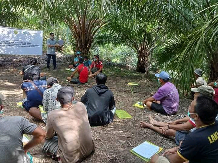Petani Sawit di Dua Daerah ini Dituntun Kuasai GAP