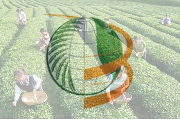 Yang Ingin Bekerja di Holding PTPN, Buruan ada Lowongan