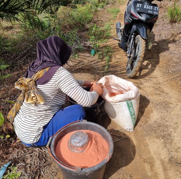 Harga Naik 200 Persen, Pabrik Pupuk Harus Berbenah