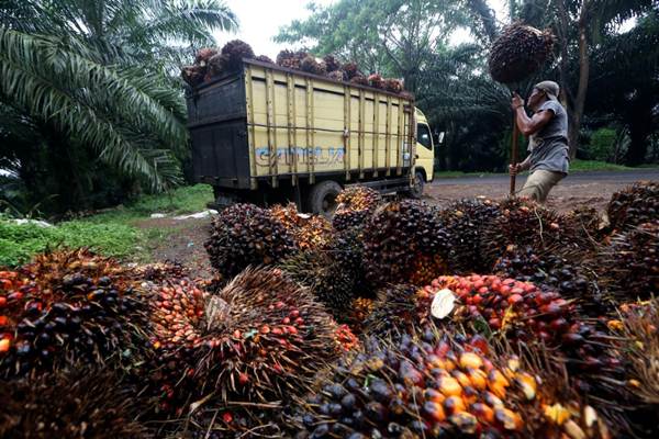 Perbedaan Harga di Dua Daerah