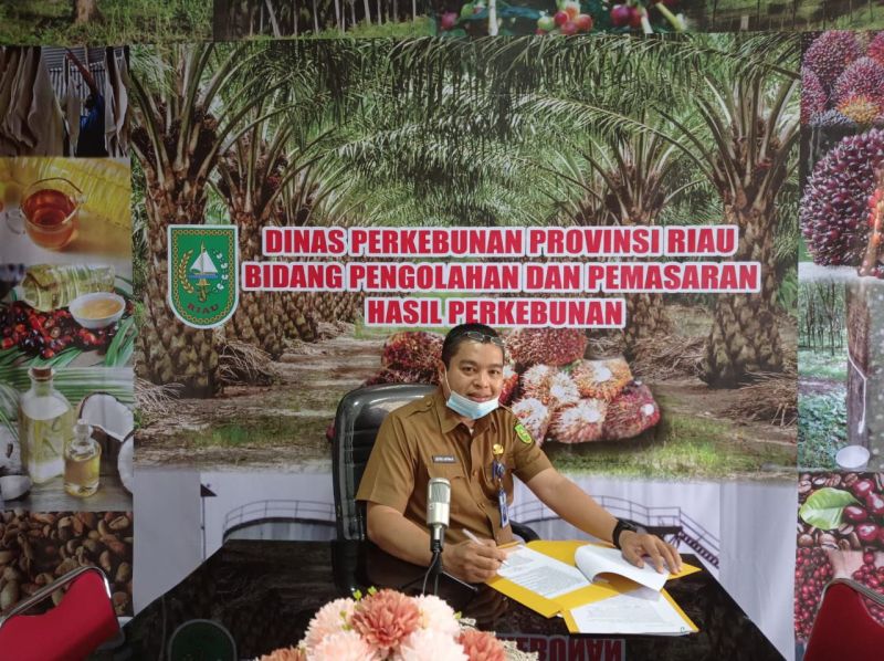 Harga Karet di Riau Cenderung Naik
