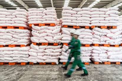 Bukan Petani Sawit, tapi Pria ini Kena Imbas Anjloknya Harga TBS